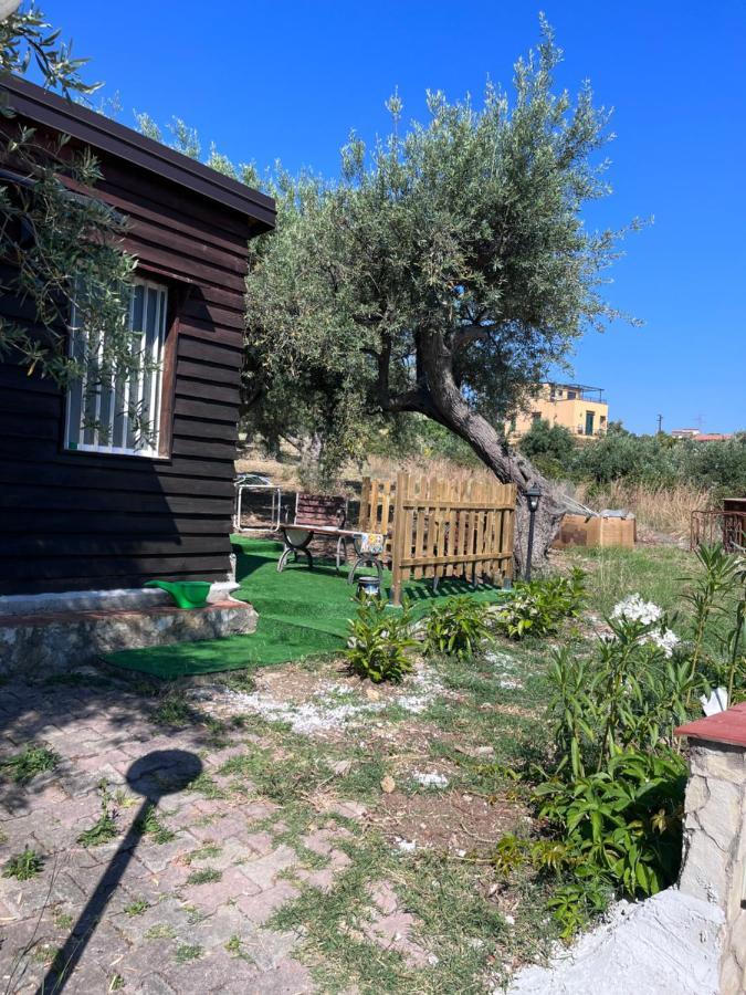 All’Ulivo saraceno Villa Trabia Esterno foto