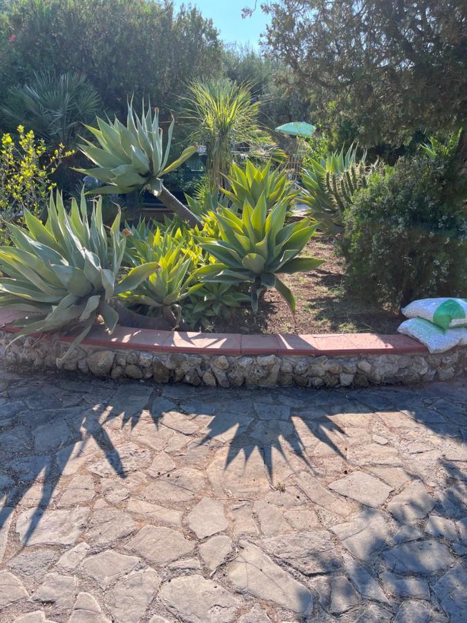 All’Ulivo saraceno Villa Trabia Esterno foto